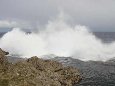 A_wave_at_the_blowholes.jpg