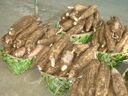 Root_vegies_at_the_market.jpg