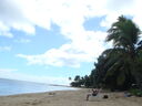 Beach_at_Pangaimotu.jpg