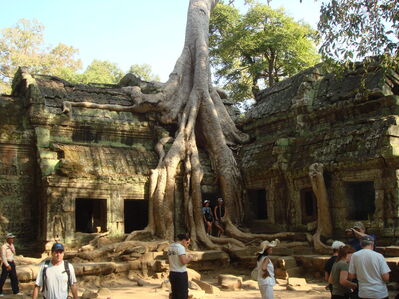 TaProhm_010.jpg