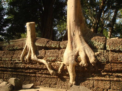 TaProhm_013.jpg