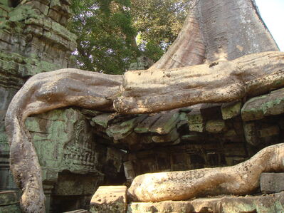 TaProhm_016.jpg