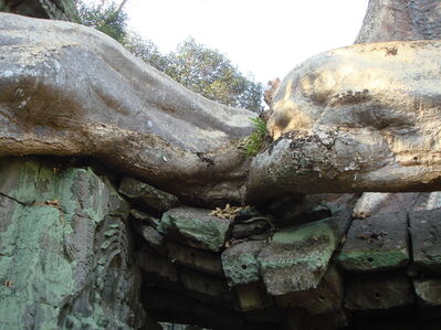 TaProhm_022.jpg