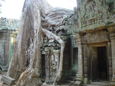 TaProhm_024.jpg