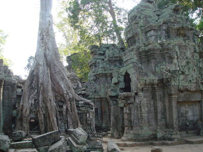 TaProhm_029.jpg