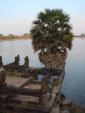 TaProhm_078.jpg