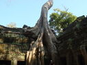 TaProhm_009.jpg