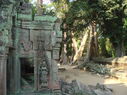 TaProhm_015.jpg