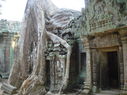 TaProhm_024.jpg