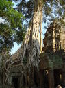 TaProhm_042.jpg