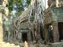 TaProhm_044.jpg