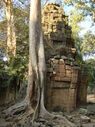 TaProhm_061.jpg