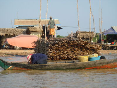 TonleSap_010.jpg