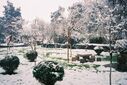 Snow_in_Kunming.jpg