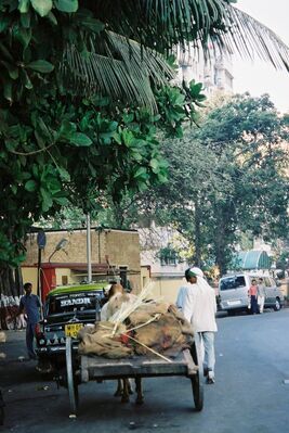 Bullock_cart.jpg