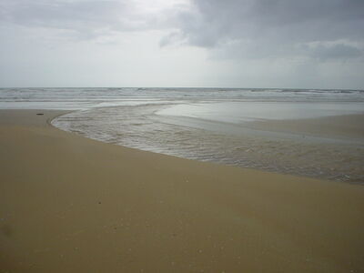 A_beach_in_Goa.jpg